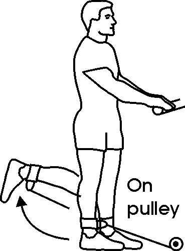leg_pul-05ham