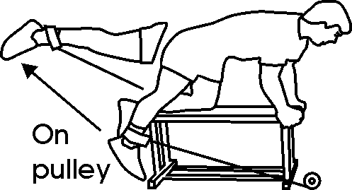 leg_pul-06