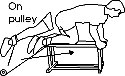 leg_pul-07