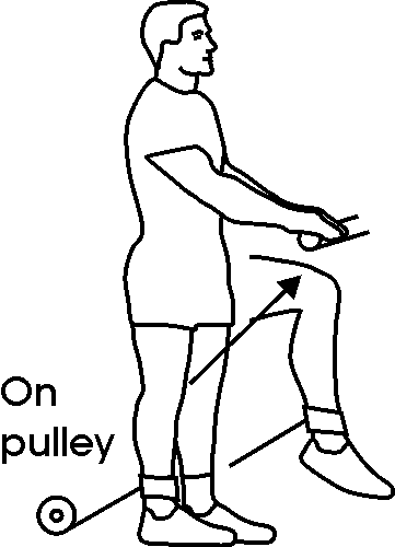 leg_pul-08