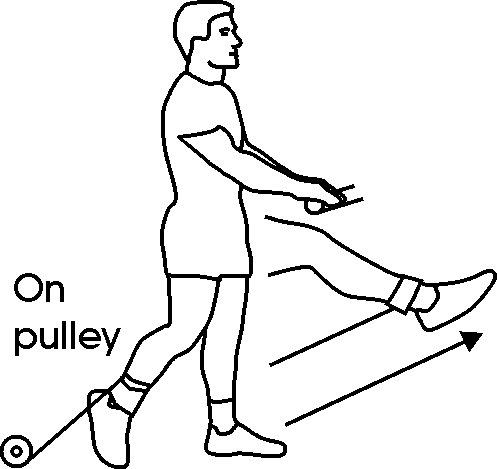 leg_pul-09