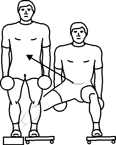 leg_rol-02ad