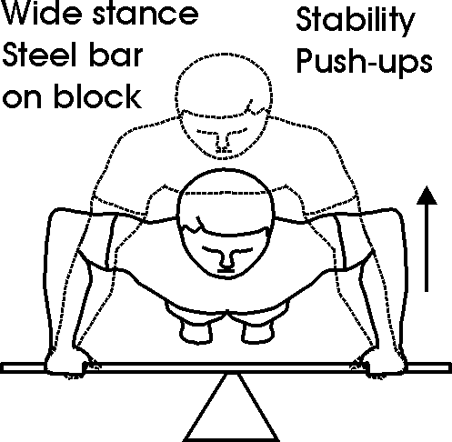 pecto_stable-02