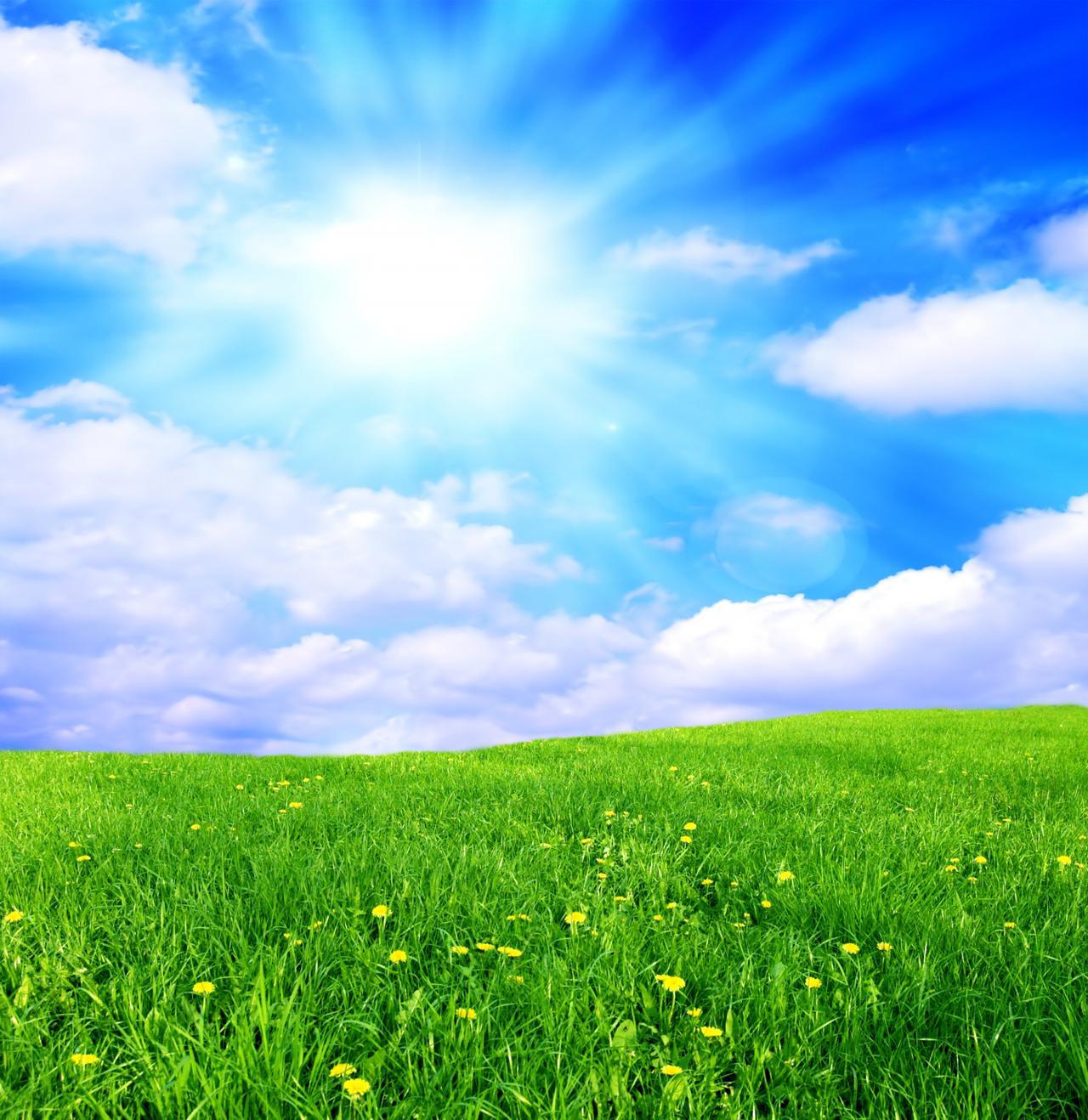 field-with-clouds