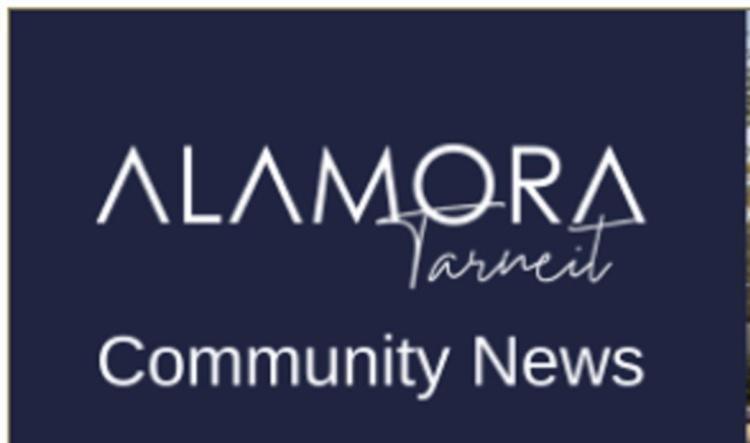 Alamora Community Update