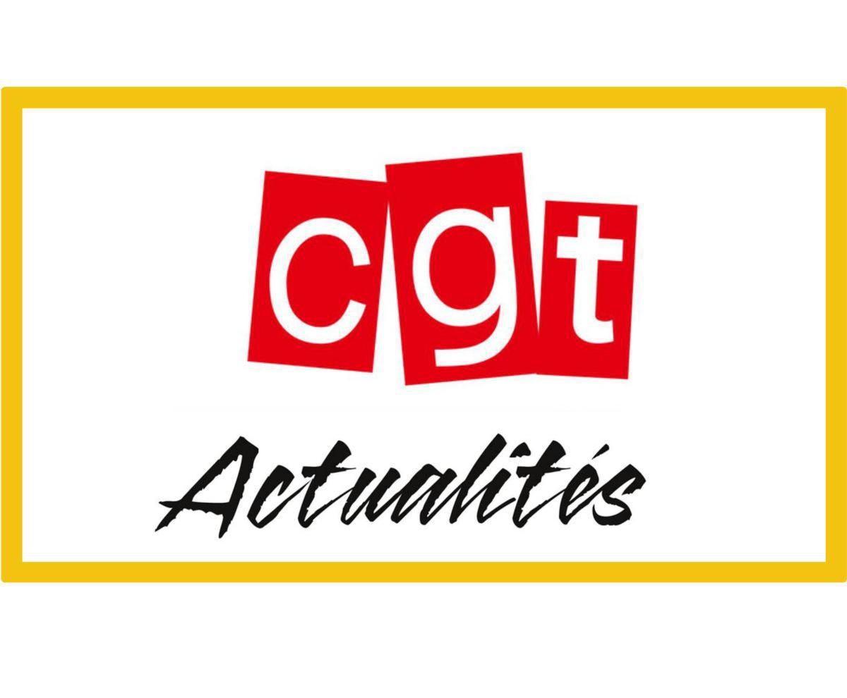 Compte-rendu du Comité social territorial du 7 novembre 2023 Compte-rendu du Comité social territorial du 7 novembre 2023