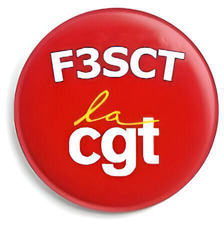 F3SCT : Formation Spécialisée en Santé, Sécurité et Conditions de Travail (ex-CHSCT) F3SCT : Formation Spécialisée en Santé, Sécurité et Conditions de Travail (ex-CHSCT)