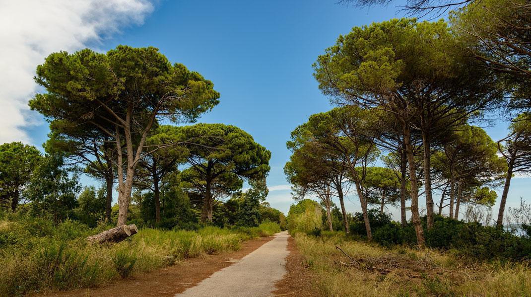 Section CGT-environnement