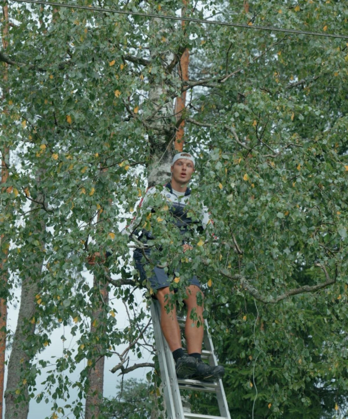 Høydepunkter fra festivalen