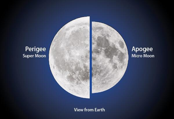Apogee