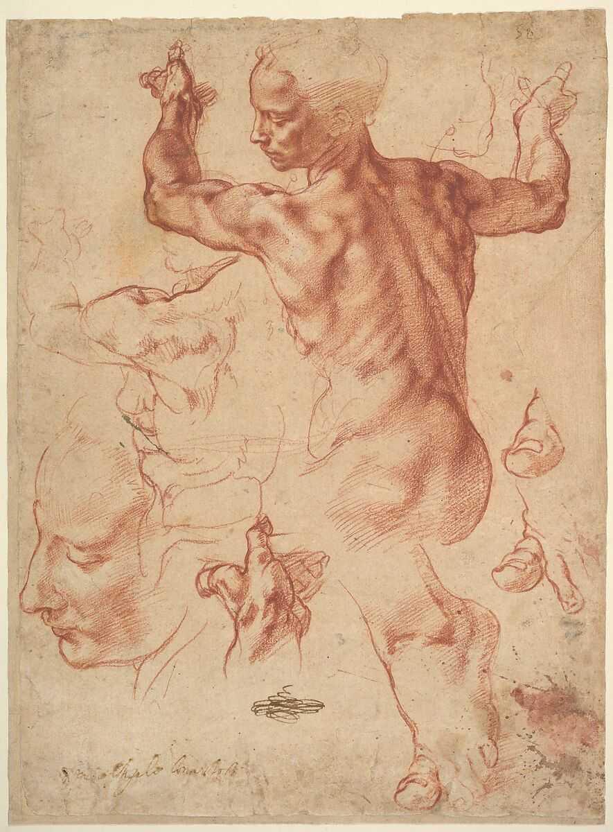 Gallerie dell’Accademia - L’Uomo Vitruviano torna in mostra a Venezia