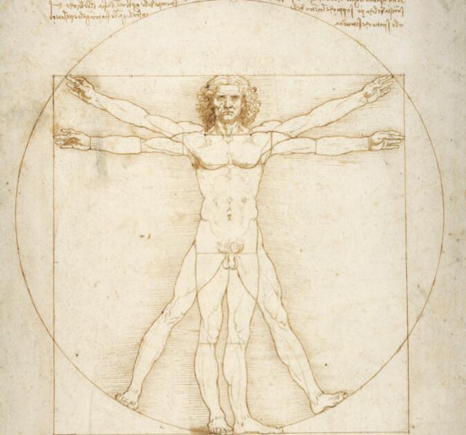 Gallerie dell’Accademia - L’Uomo Vitruviano torna in mostra a Venezia