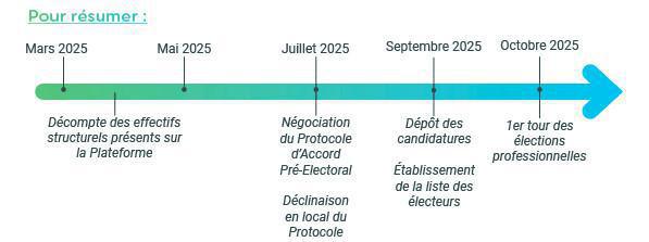 Elections professionnelles 2025