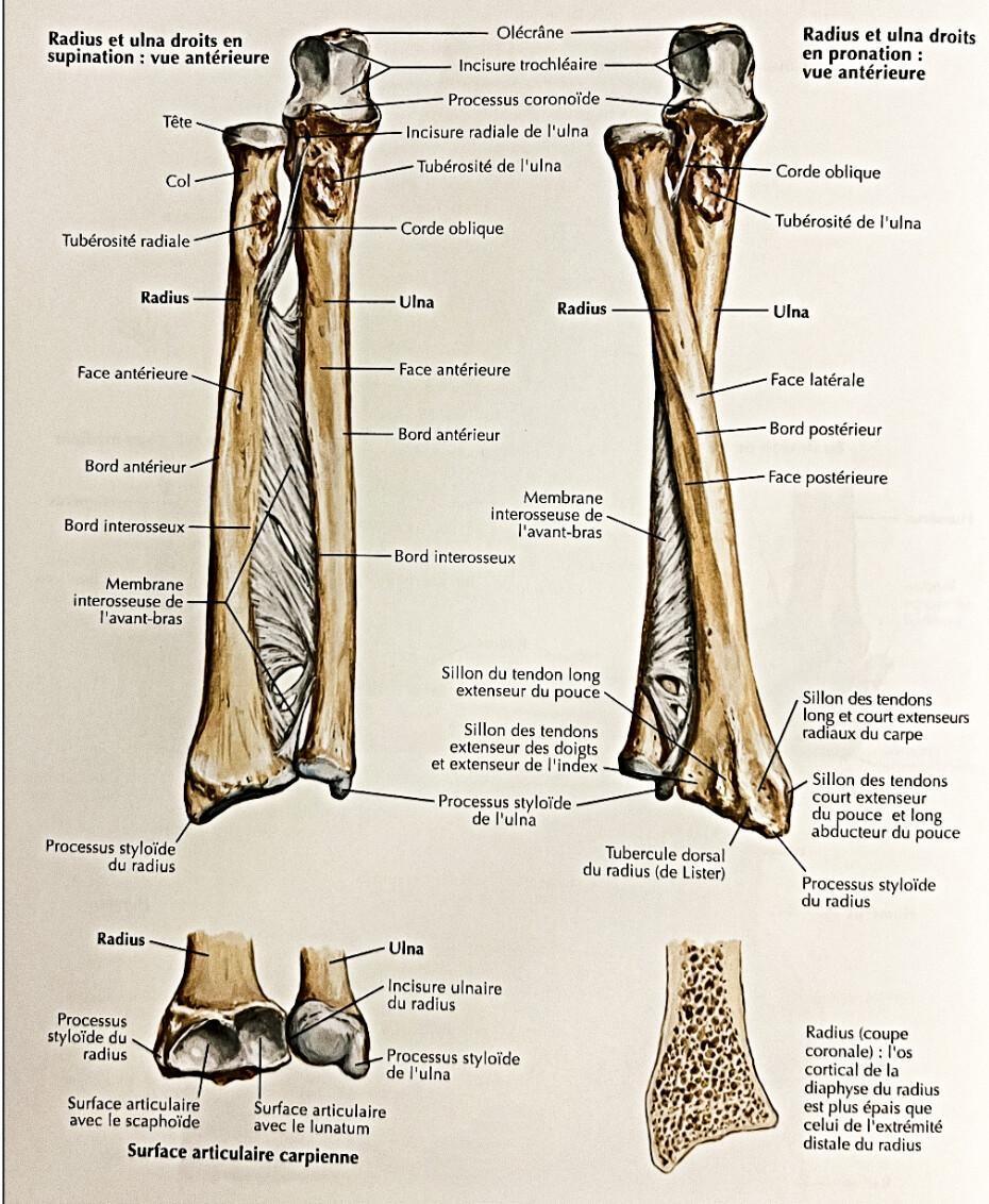 RADIUS RADIUS