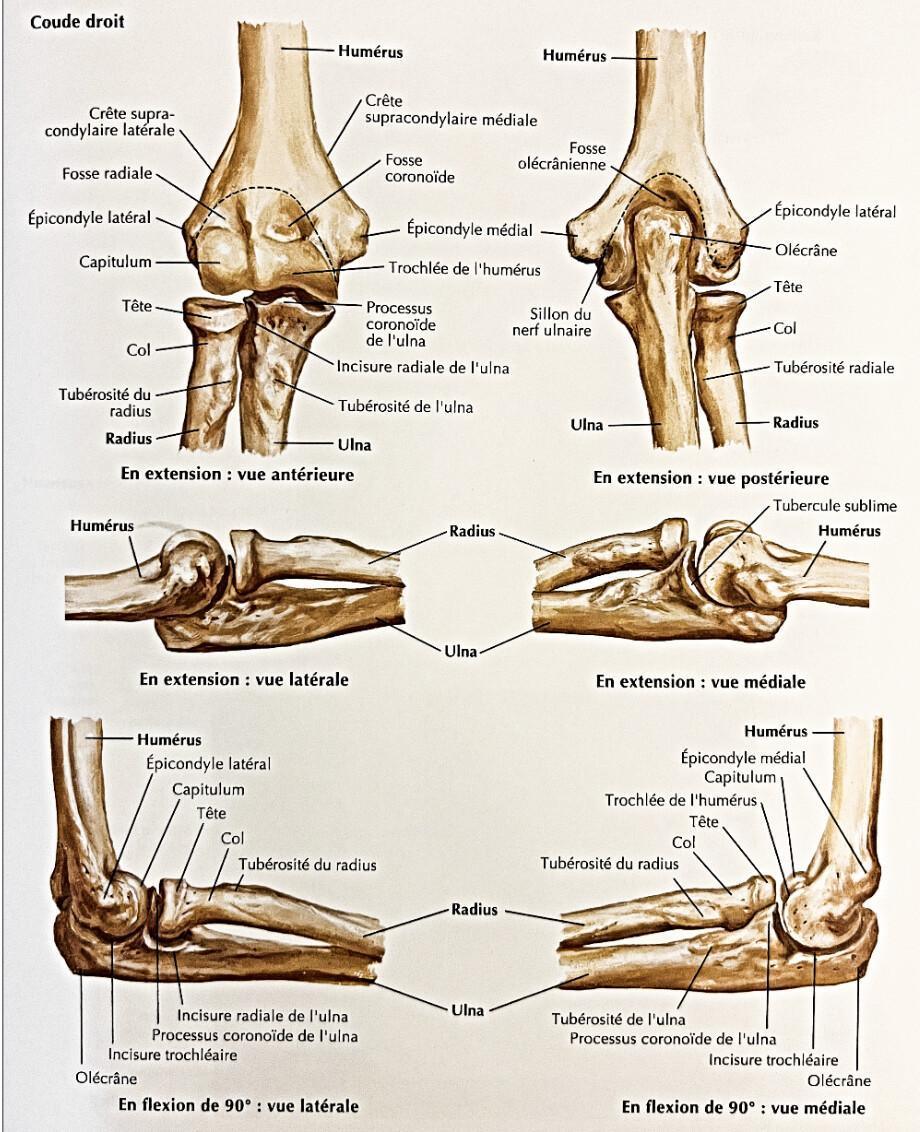 RADIUS RADIUS