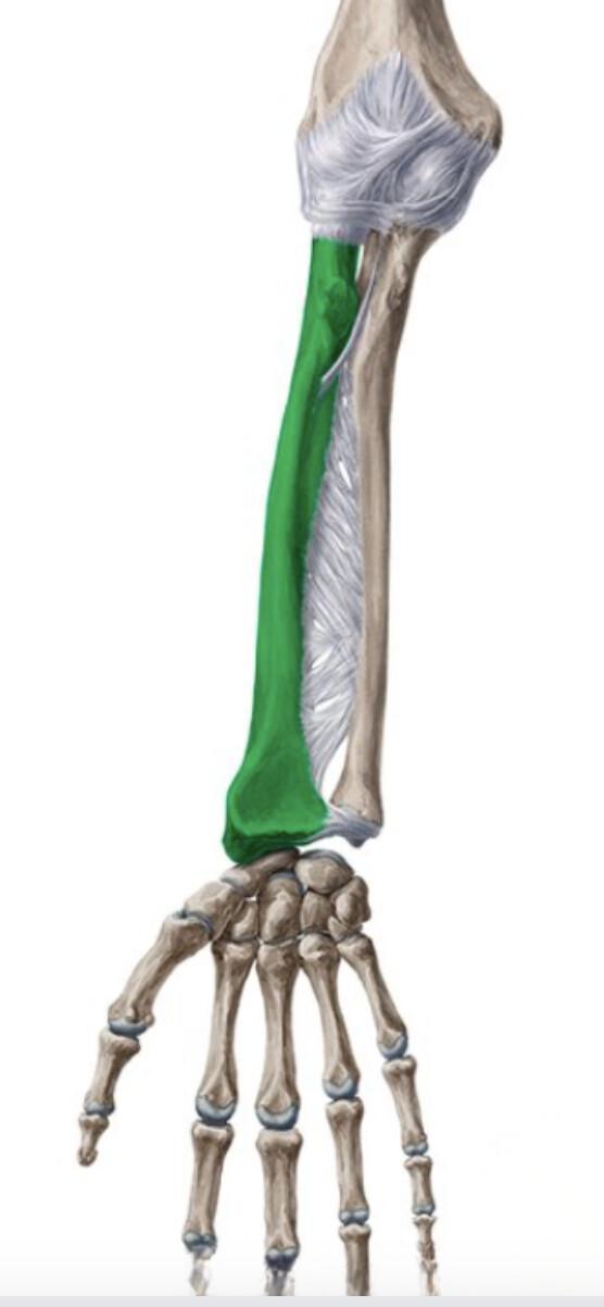 RADIUS RADIUS