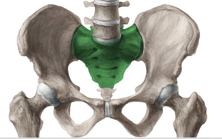 SACRUM SACRUM