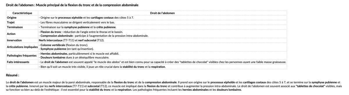DROIT DE L'ABDOMEN