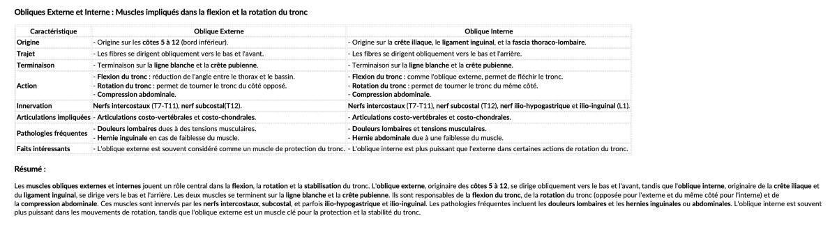 OBLIQUE EXTERNE ET INTERNE OBLIQUE EXTERNE ET INTERNE