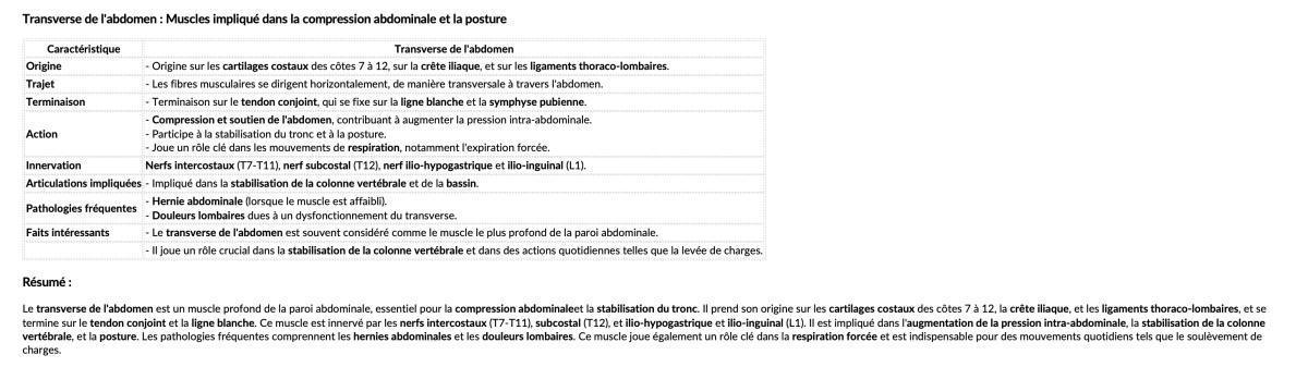TRANSVERSE DE L'ABDOMEN TRANSVERSE DE L'ABDOMEN