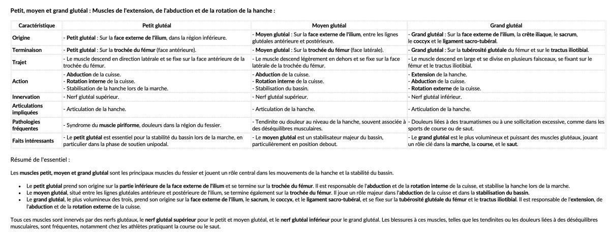 PETIT/MOYEN/GRAND GLUTEAL PETIT/MOYEN/GRAND GLUTEAL