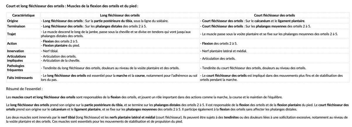 COURT/LONG FLECHISSEUR DES ORTEILS