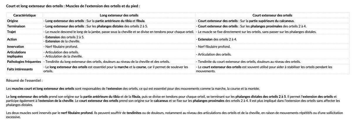 COURT/LONG EXTENSEUR DES ORTEILS COURT/LONG EXTENSEUR DES ORTEILS