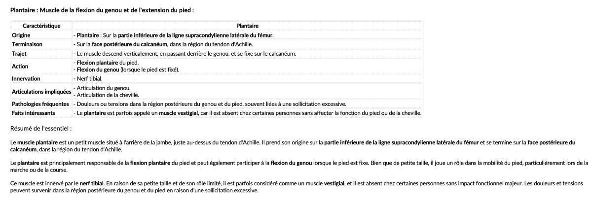 PLANTAIRE PLANTAIRE