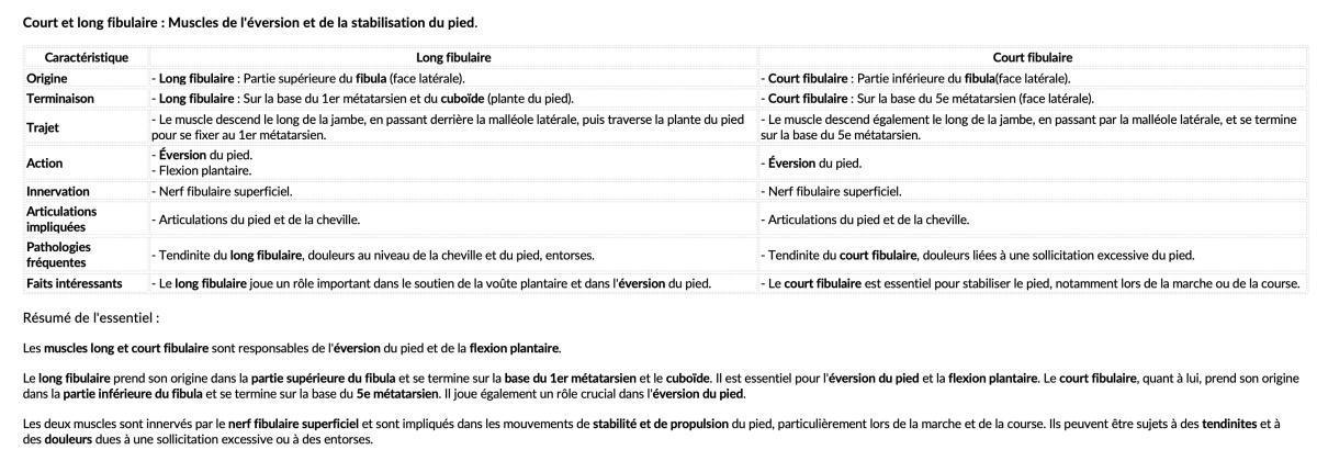 COURT/LONG FIBULAIRE COURT/LONG FIBULAIRE