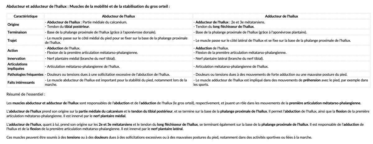 ABDUCTEUR/ADDUCTEUR HALLUX ABDUCTEUR/ADDUCTEUR HALLUX