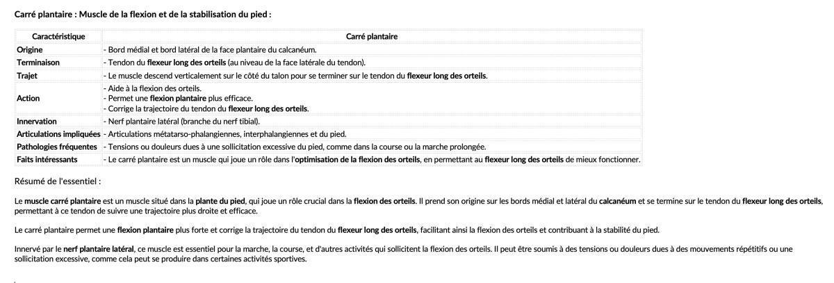 CARRE PLANTAIRE CARRE PLANTAIRE
