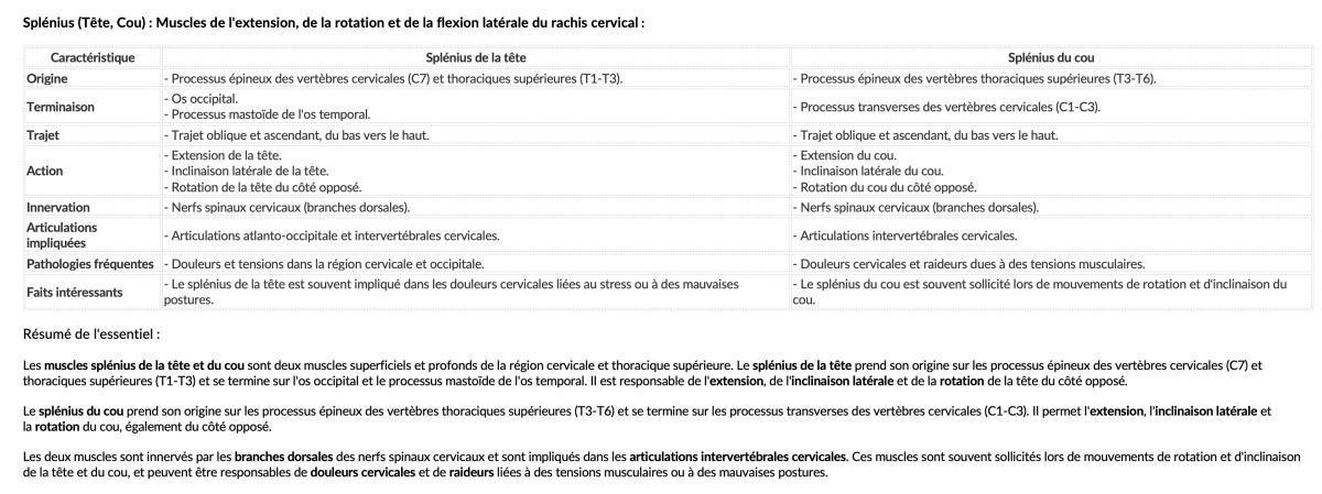 SPLENIUS TETE/COU SPLENIUS TETE/COU
