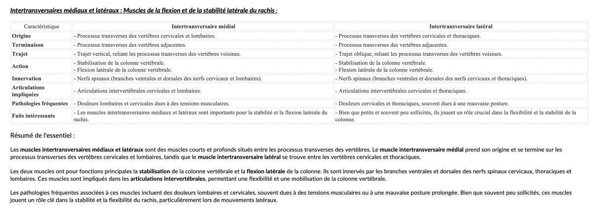 INTERTRANSVERSAIRES MED/LAT INTERTRANSVERSAIRES MED/LAT