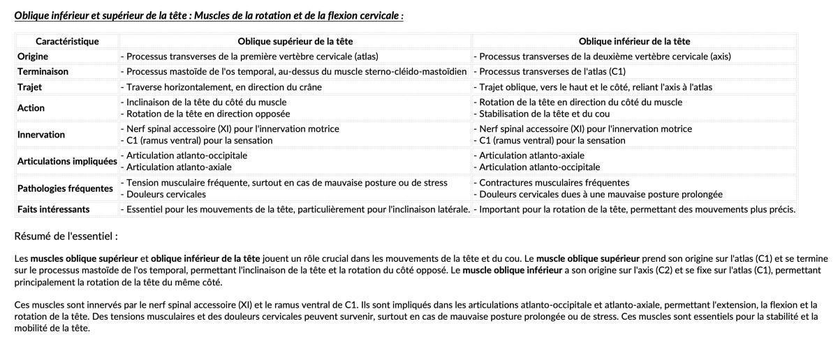 OBLIQUE INF/SUP DE LA TETE OBLIQUE INF/SUP DE LA TETE