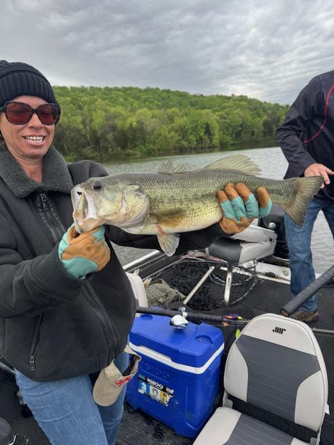 Bass on Mustang 