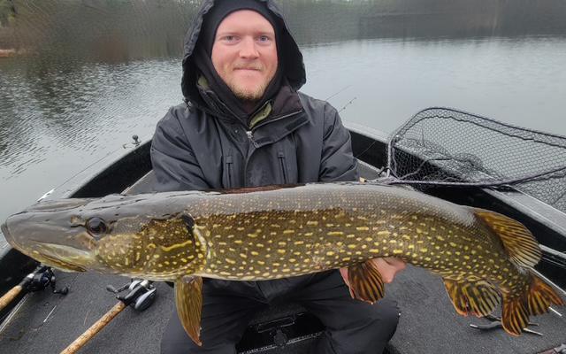 Titan Pike 