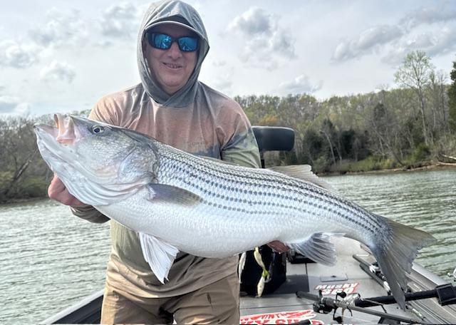 Magnus Trolling !!!!!