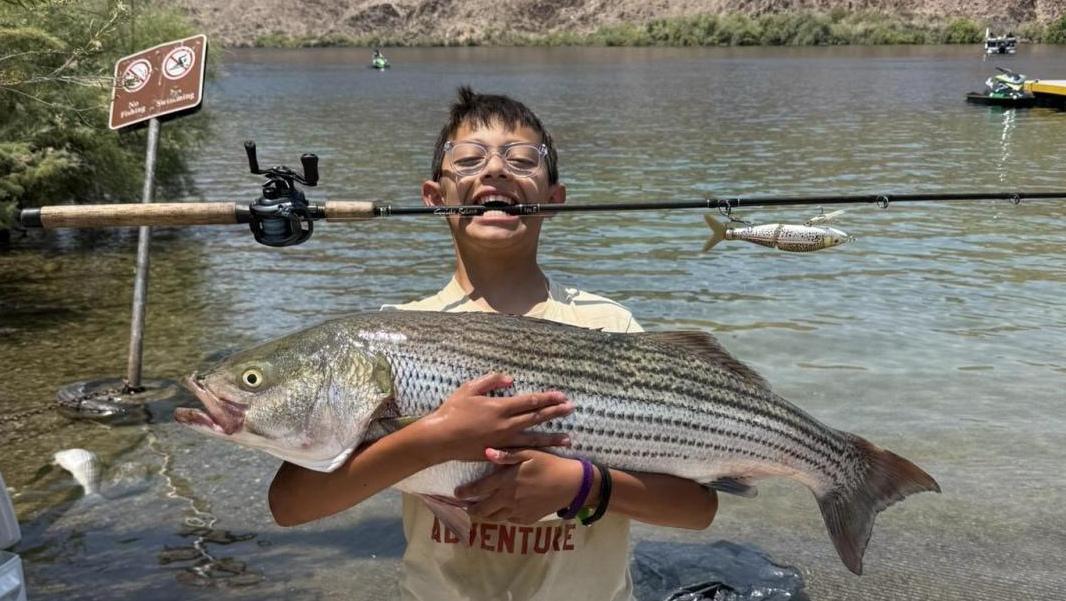 B-Venom Trout Pattern