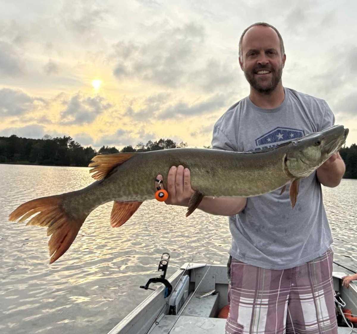 Viper6 Perch