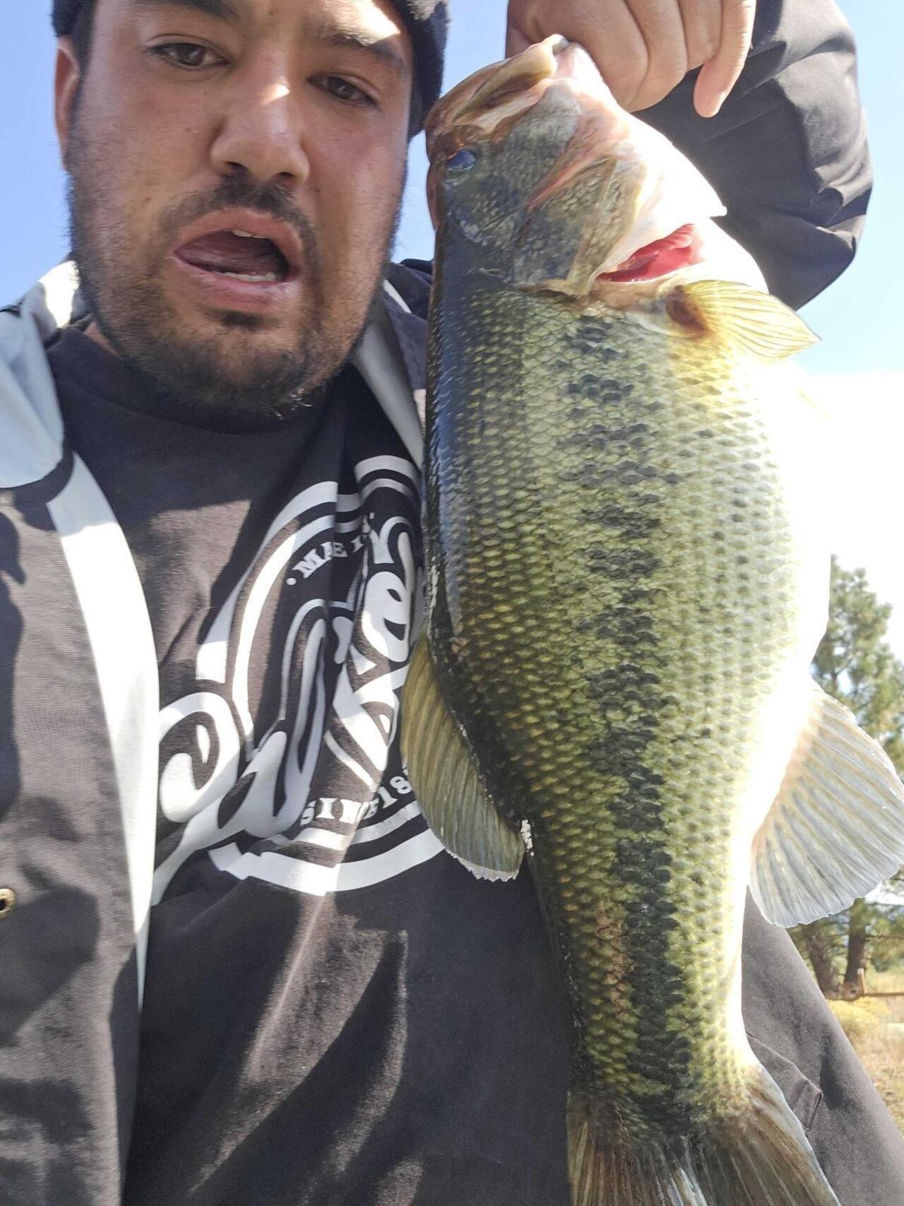 top water bite
