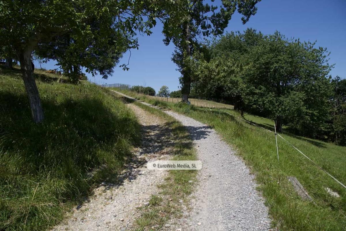 Alrededores