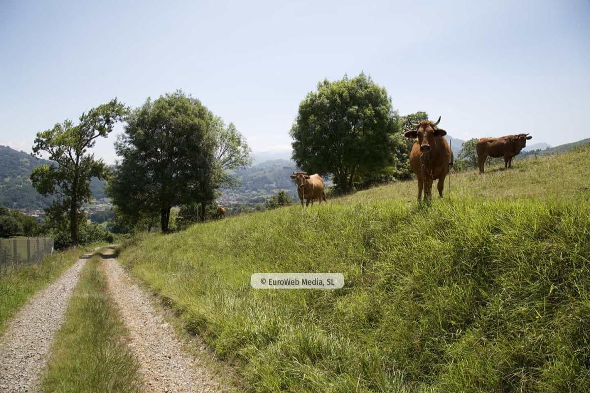 Alrededores