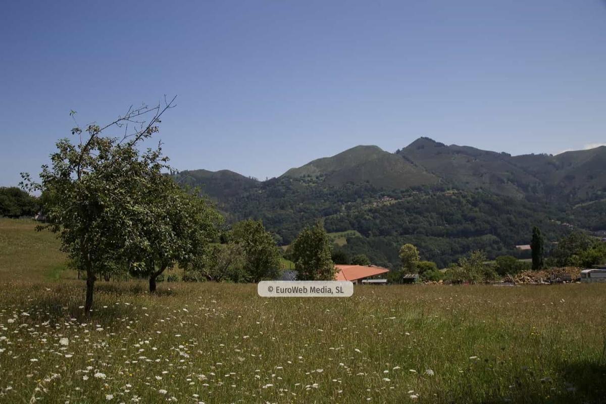 Alrededores