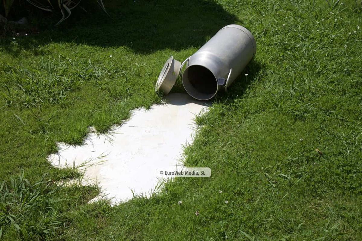 Arte en el jardín
