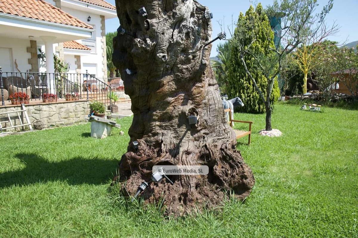 Arte en el jardín