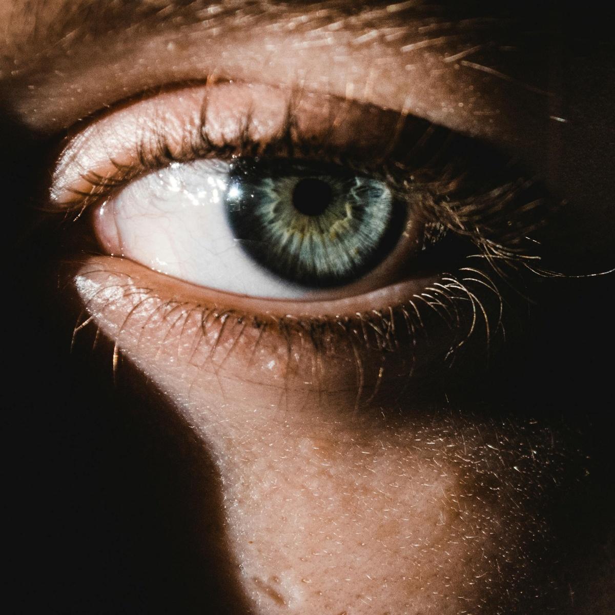Your Vision Is Built Today: A Daily Vision Routine That Keeps You Seeing Well for Life