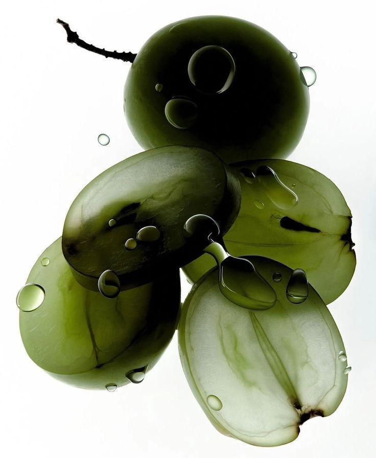 Land Clearer: The No-Nonsense Guide to Resilient Travel