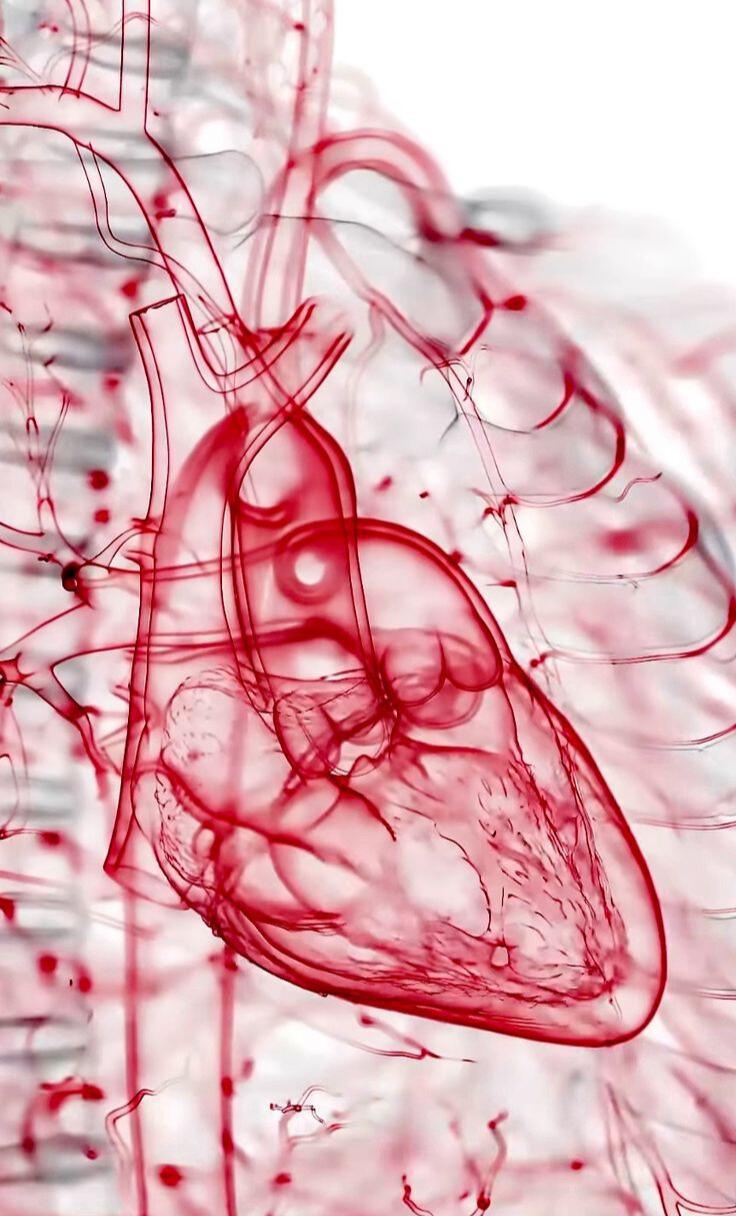 The Hidden Signal That Predicts Your Health: Why One Overlooked Metric Could Be the Key to Better Health