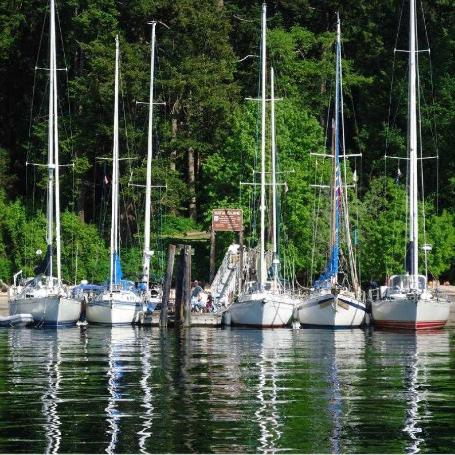 Matia Island