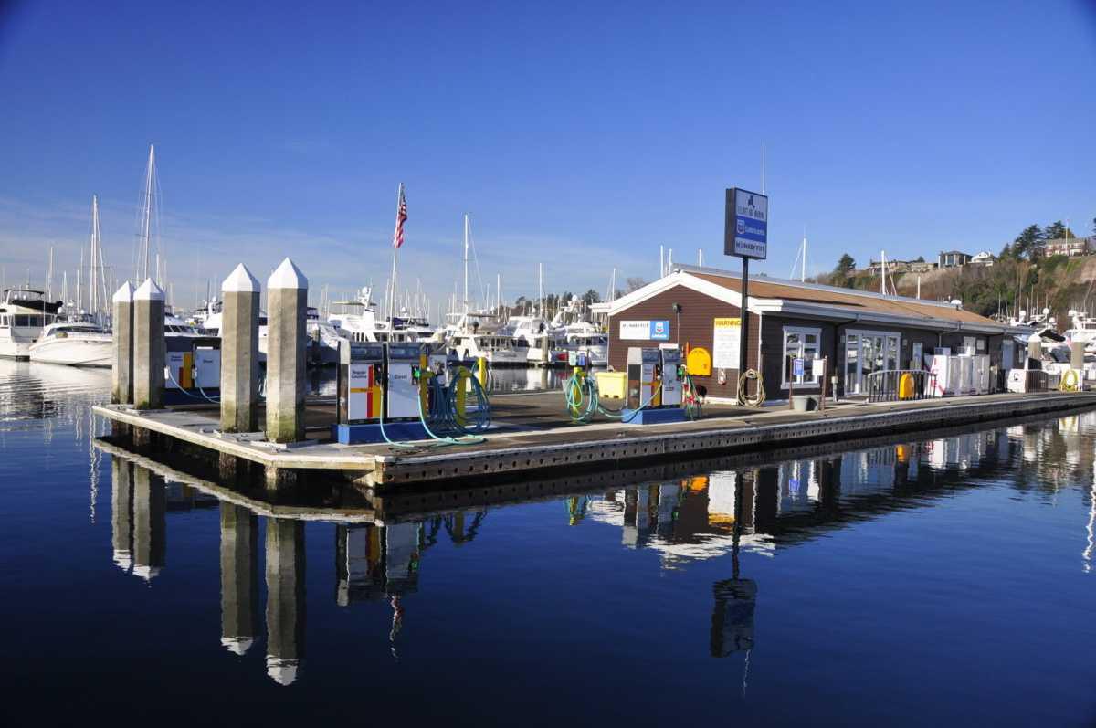 Welcome to Elliott Bay!